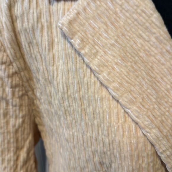 Daniel Rainn (Anthropologie) crinkle velour/corduroy double breasted jacket. Med - Picture 9 of 10